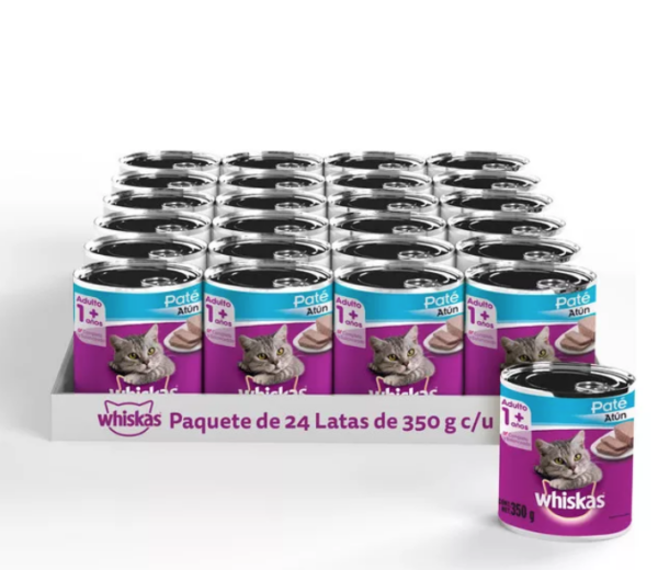 WHI CAJA LATA ATUN 24/350 G