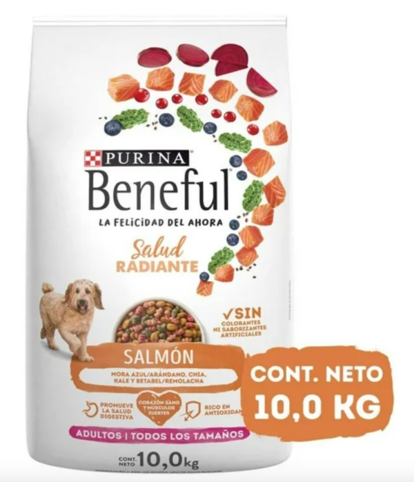 BENEFUL ADULTO SALMON 10 KG