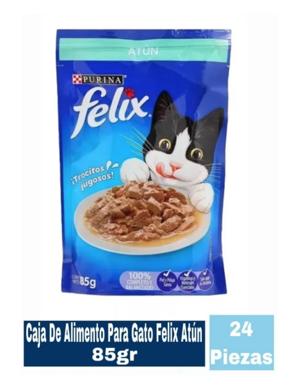 Felix POUCH ATUN 24/85 G