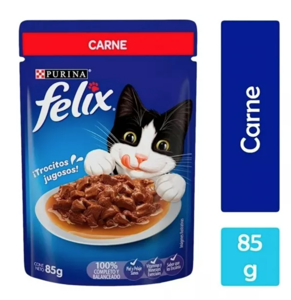 Felix POUCH CARNE 24/85 G