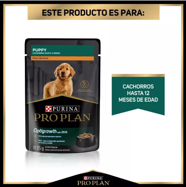 PROPLAN CAJA POUCH PUPPY POLLO 24 /85 G