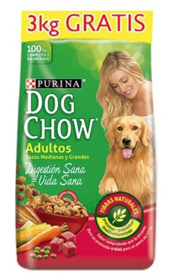 Dog Chow Cachorro Raza Grande 18+3 G