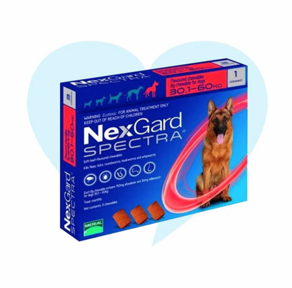 NEXGARD 30.1 - 60 KG