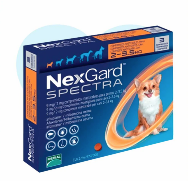 NEXGARD 2.1 - 3.5 KG