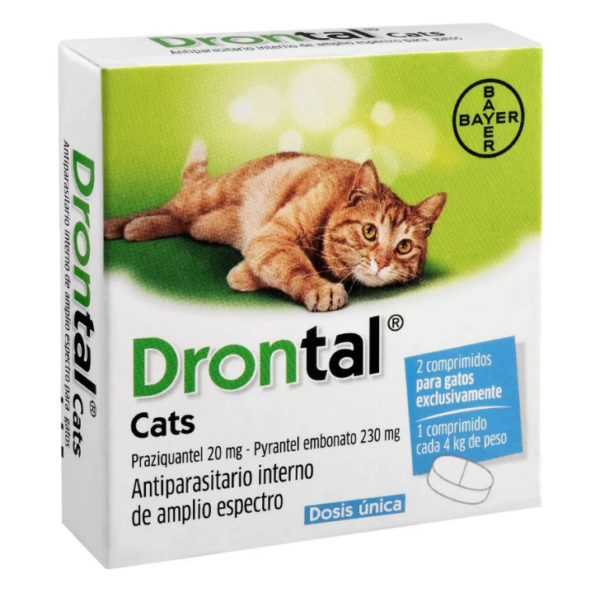 BAYER DRONTAL GATO PLUS P/4 KG PZ