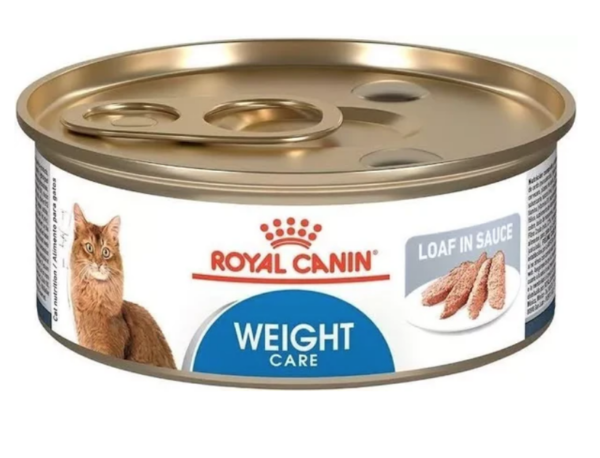 ROY POS LATA GATO WEIGH 145 G