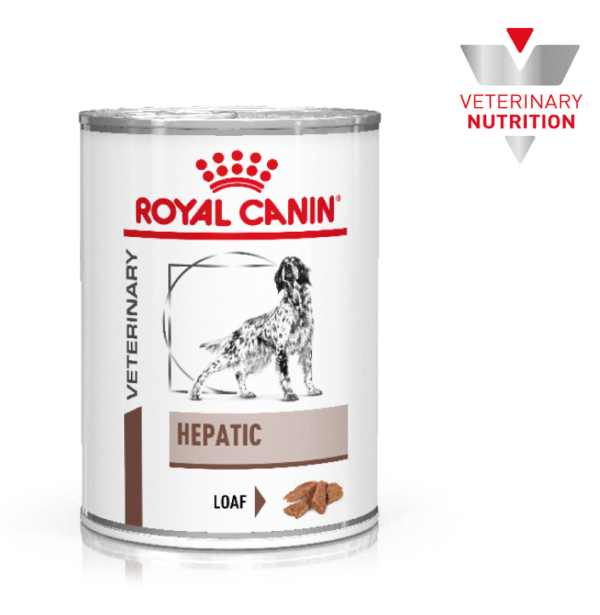 ROY VET LATA HEPATIC 410 G