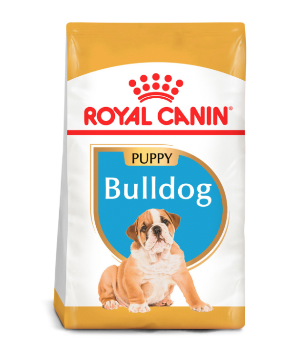 ROY POS BULLDOG PUPPY 13.6 KG