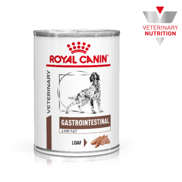 ROY VET LATA GASTRO LOW FAT  385 G