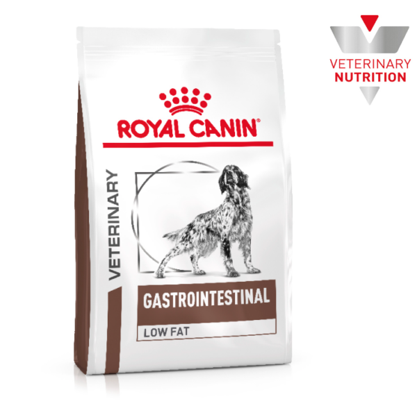 ROY VET GASTRO LOW FAT 3 KG