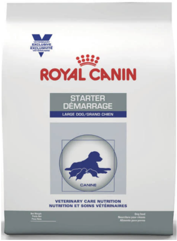 ROY VET STARTER LARGE 12 KG