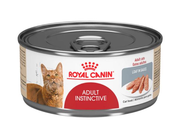 ROY POS LATA GATO INSTINCTIVE 85 G