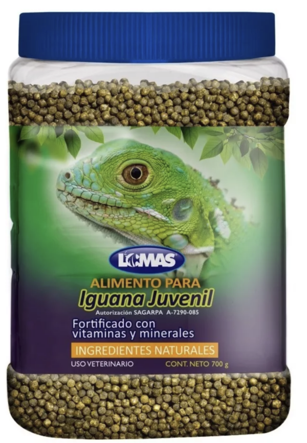 RED KITE ALIMENTO IGUANA 700 G