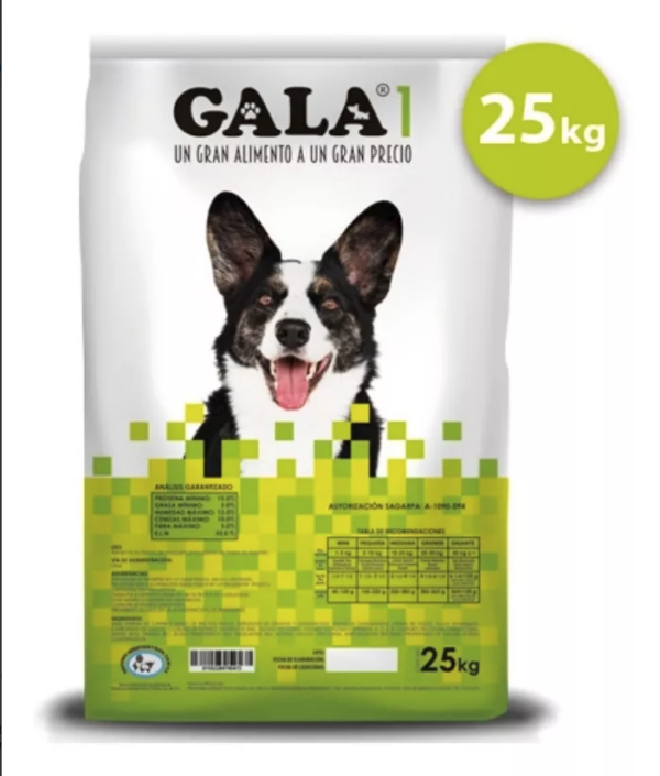 GALA I 25 KG GAN AD