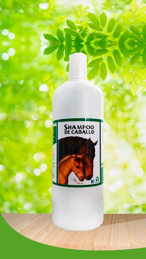 SHAMPOO CABALLO E-QUINO 950 M